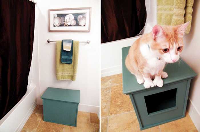 Какой туалет для кошки лучше – автоматический кошачий унитаз со сливом, самоубирающийся или сделанный своими руками?