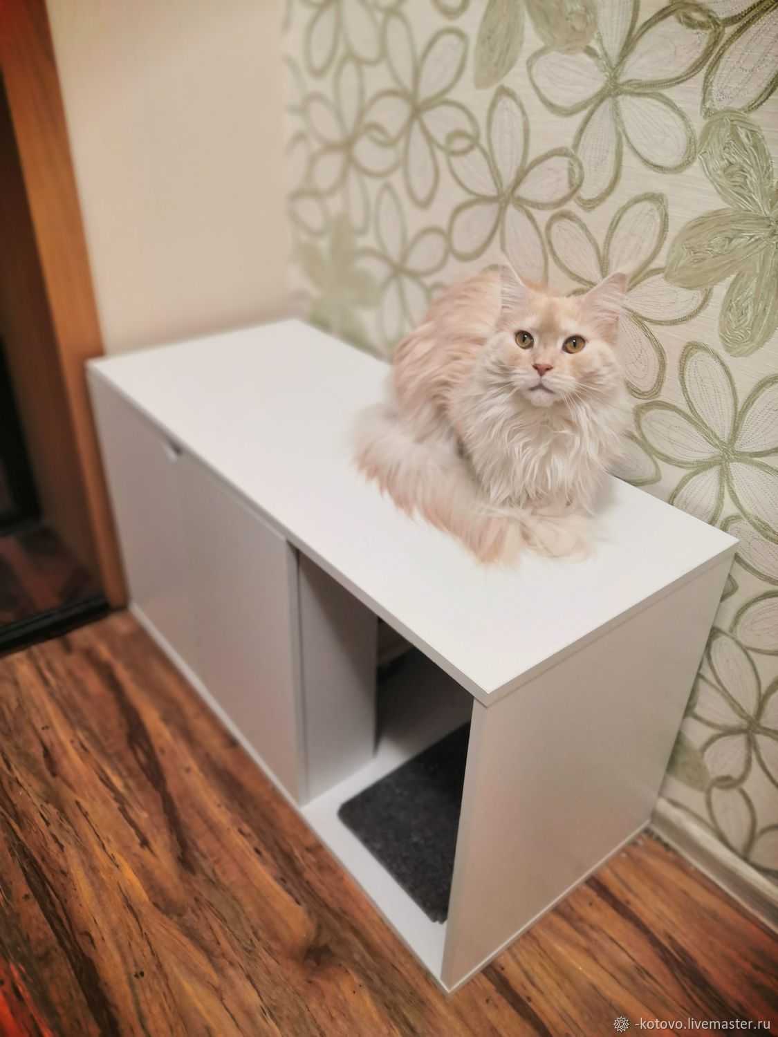 ᐉ как организовать туалет для нескольких кошек? - ➡ motildazoo.ru