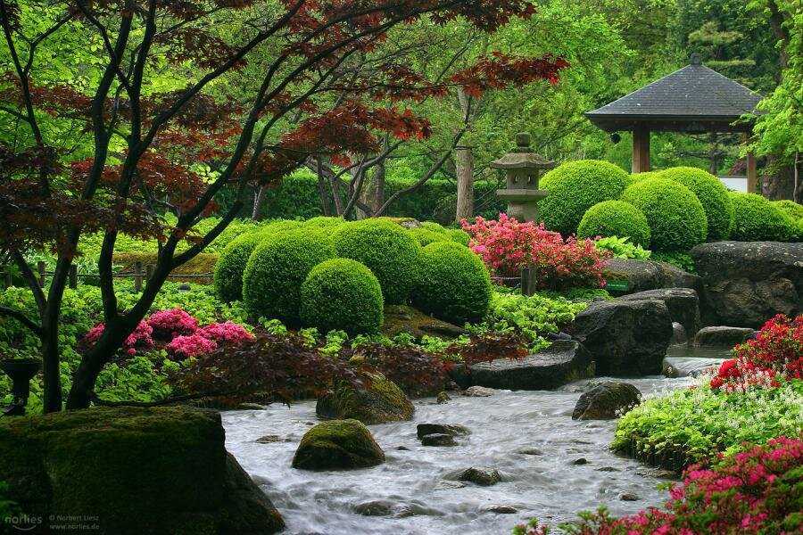 Мой зачарованный сад: японские мотивы на 6 сотках