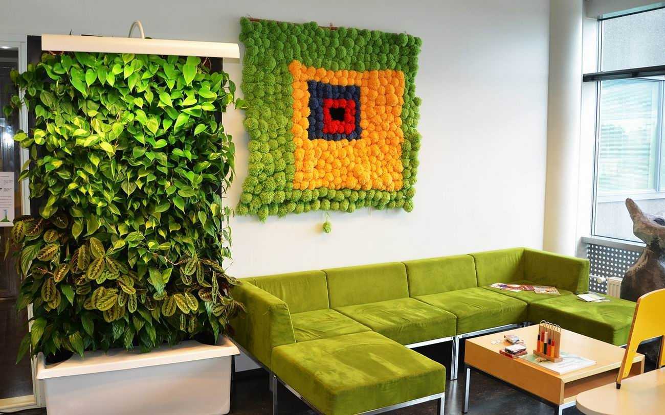 Декоративный стабилизированный и живой мох в интерьере: панно, стены из декоративного цветущего мха