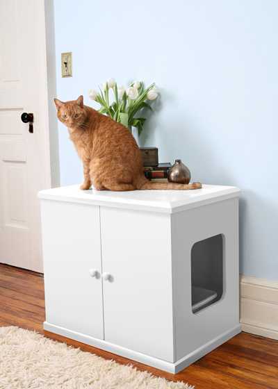12 крутых способов спрятать кошачий туалет
