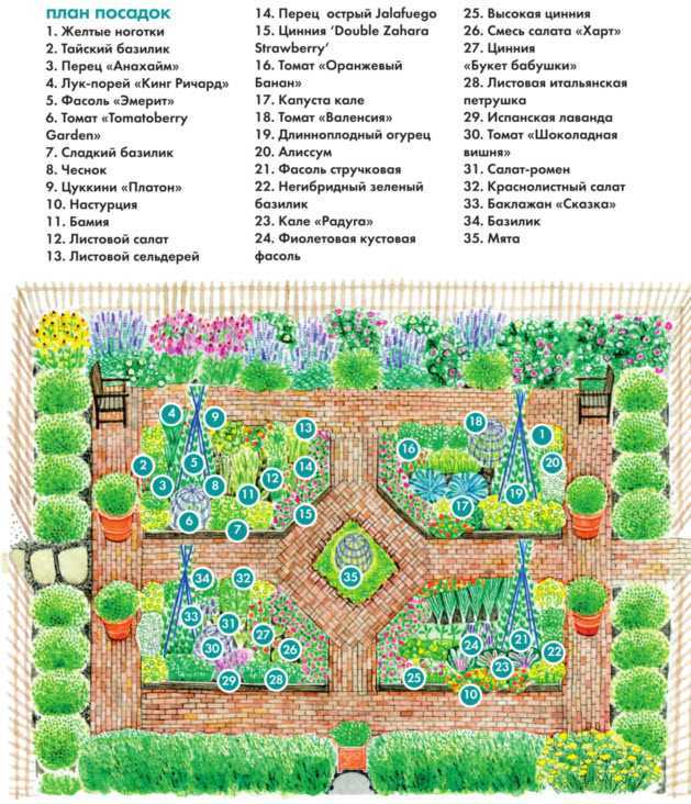 Планы высадки. План посадок в огороде. Планировка сада схема. План посадки растений на участке схема. Плодовый сад планировка.