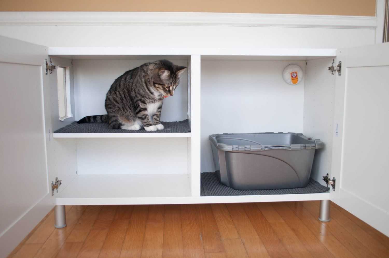Куда спрятать кошачий туалет и прочие идеи декора для котовладельцев