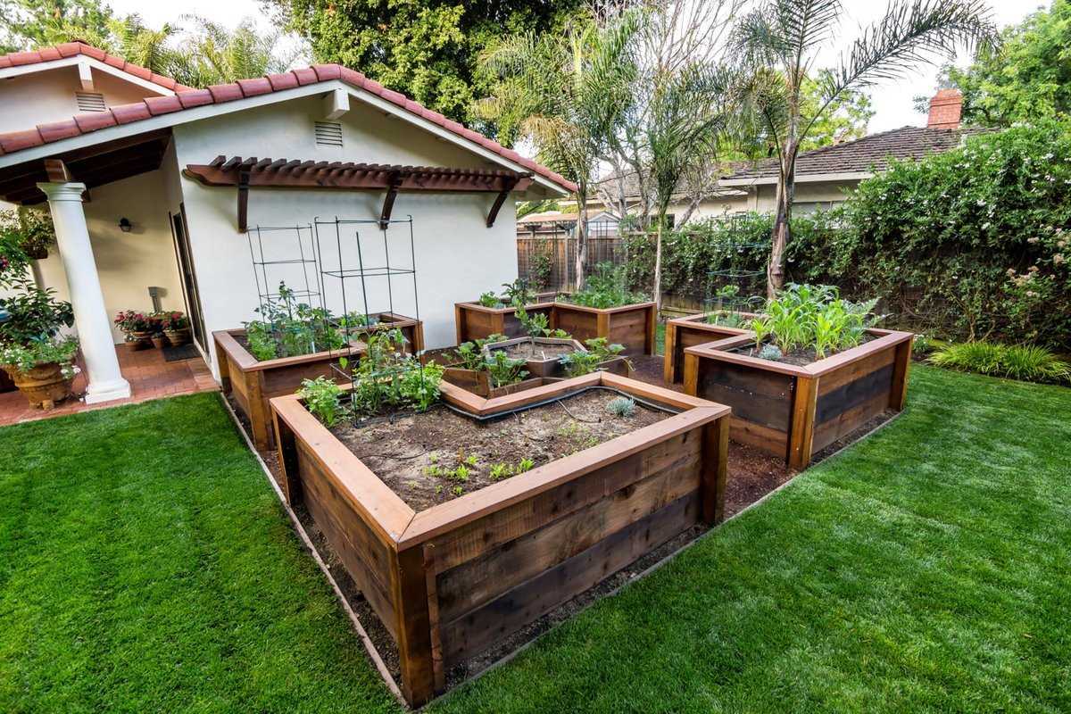 Сад и огород дизайн своими руками фото интересные идеи