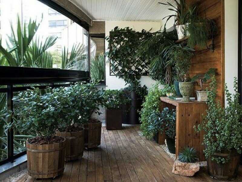 Зимний сад на балконе или озеленение балкона своими руками