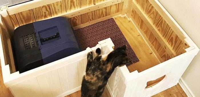 Туалет для кошек закрытый: кошачий уголок в доме хозяина